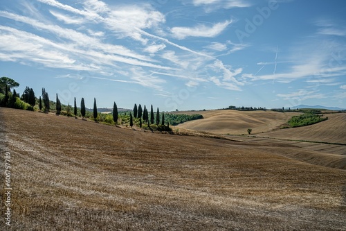 Fields on a sunny day in Tuscany, Italy