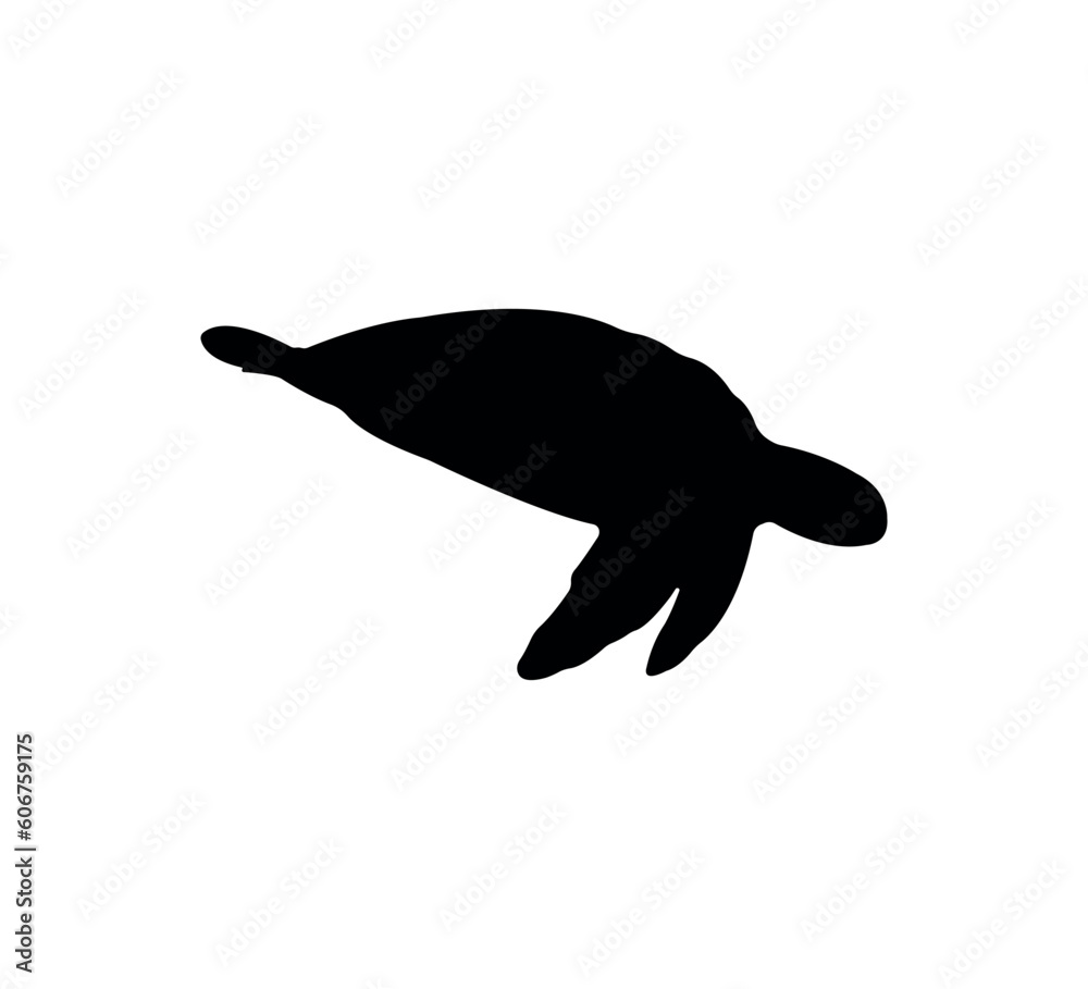 Fototapeta premium Turtle silhouette on white background
