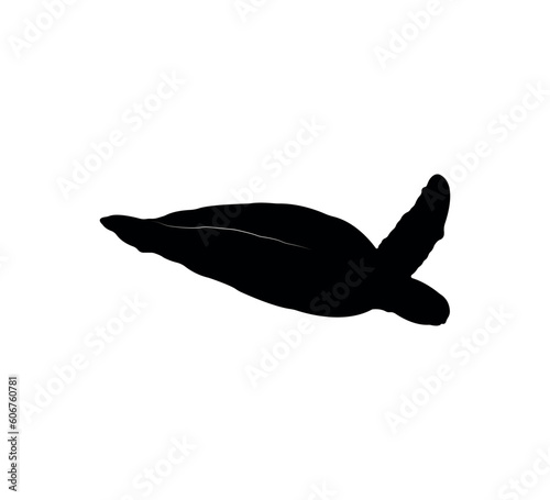 Turtle silhouette on white background