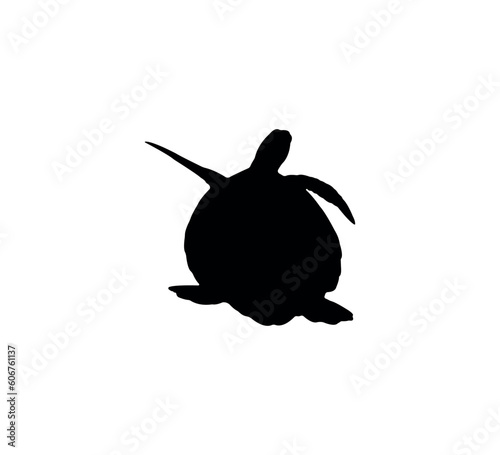 Turtle silhouette on white background