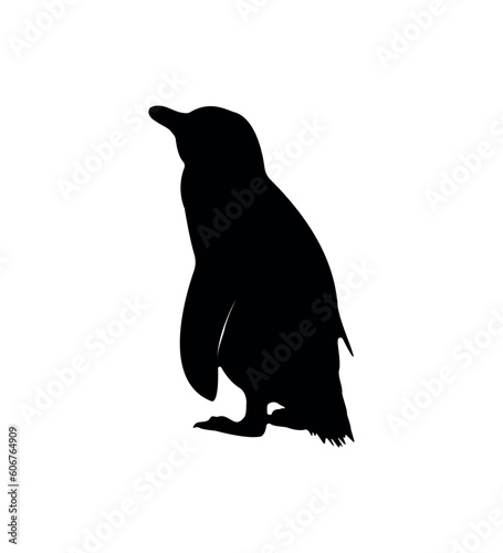 Vector flat penguin silhouette isolated on white background