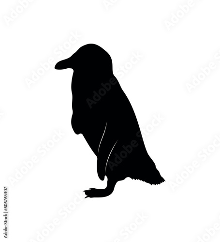 Vector flat penguin silhouette isolated on white background