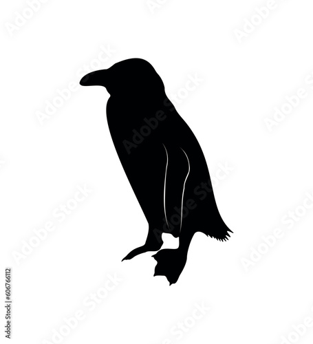 Vector flat penguin silhouette isolated on white background
