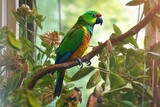 Caica Parrots of Echo Park Trees. Generative AI