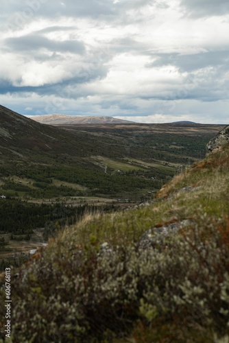 Scenic, green landscape with high mountains on the horizon during overcast weather in Norway