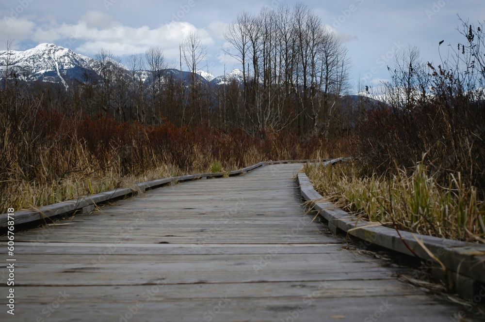 Wooden pathway in a mountainous landscape