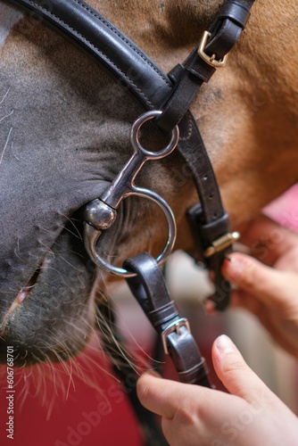 Vertical closeup shot of a person hooking a collar strap on a horse