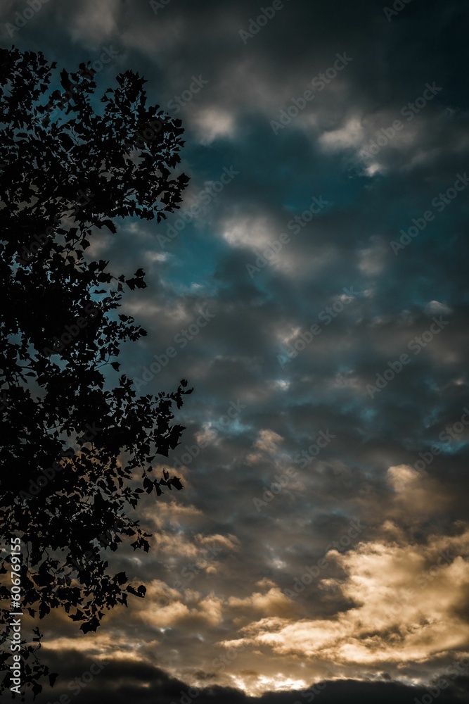 Obraz premium View of cloudspace during sunset