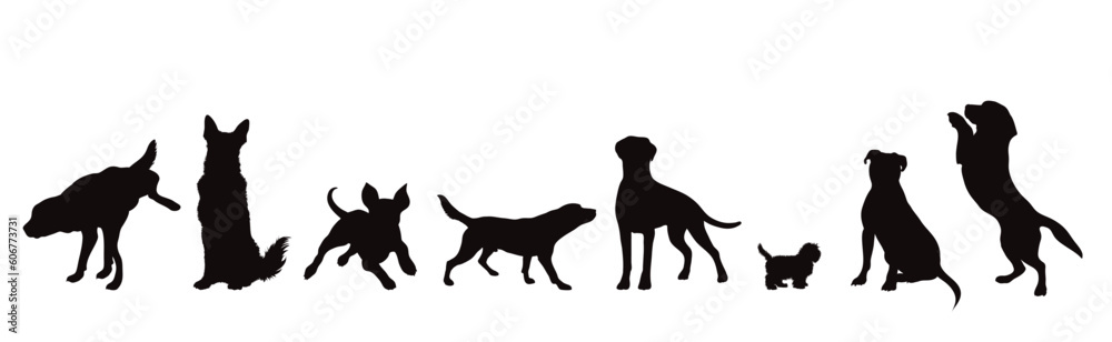 Set of vector silhouette of different dogs on white background.