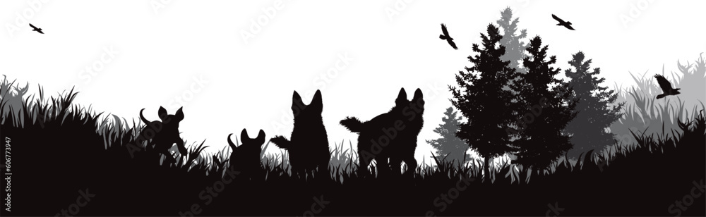 Vector silhouette of dogs playing in the grass in park.