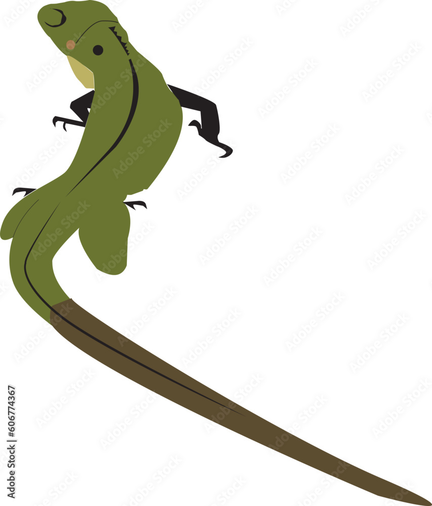Fototapeta premium Iguana. Vector drawing