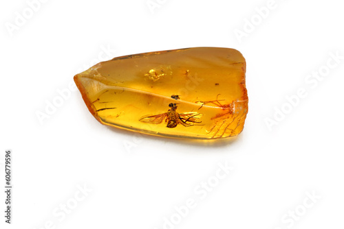 Amber with inclusionon wasp a white background. Sun stone. Fossil fossilized resin. semi-precious mineral. Natural material for jewelry. Copal. Science and geology. Insects in amber stone. Bee