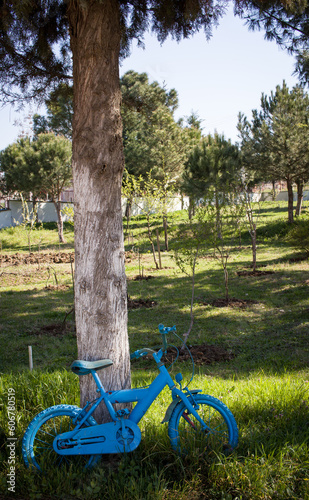 Painted in blue vintage bicycle in the garden