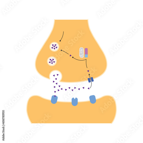 Scientific Designing of Monoamine Oxidase B Inhibitor Action. Vector Illustration. photo