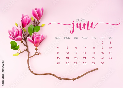 The June 2023 calendar page with pink magnolia flower on pink background.