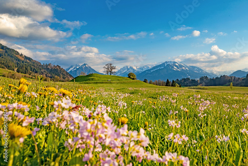 Allgäu - Frühling - Oberstdorf - Berge - Alpen - Blumen photo