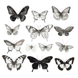 Butterfly Set Clipart Illustration Insects Nature Wings, Fluttering Flying Beautiful Colorful AI generated
