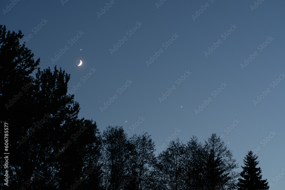 Night scene in the forest, the starry sky above the forest and the moon.