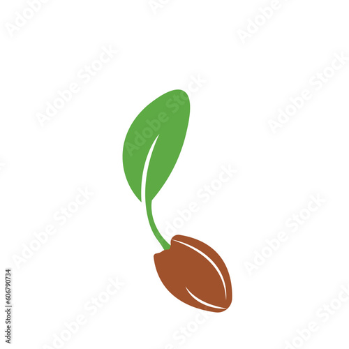 Seeds logo icon