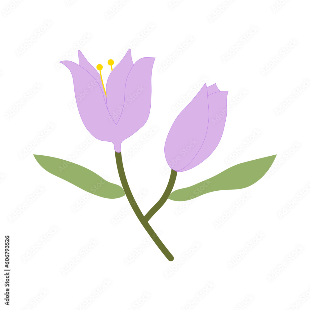 Flower Elements Illustration Set Collection Flower Elements Illustration Set Collection