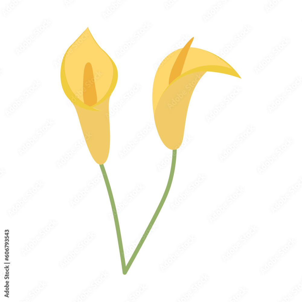 Naklejka premium Flower Elements Illustration Set Collection