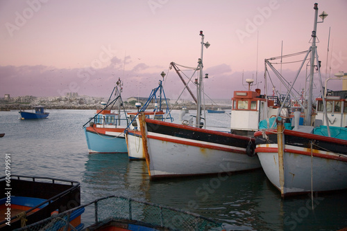 Small fishing and crayfishing trawlers moored in Lambert's Bay, harbor, Western Cape, South Africa, in the early evening.