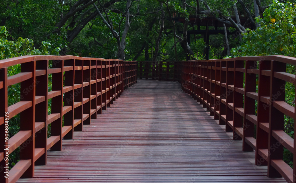 The bridge is a wooden bridge, a walkway for viewing nature.