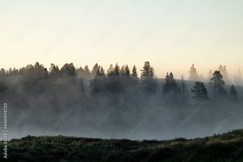 Fog Clings To The Trees Along The Yellowstone River