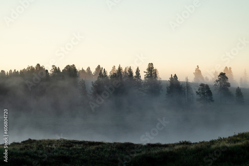 Fog Clings To The Trees Along The Yellowstone River