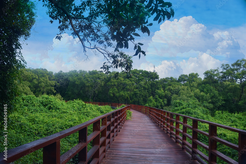 The bridge is a wooden bridge, a walkway for viewing nature.