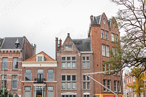 Landscape of the city of the Hague, holland, in autumn