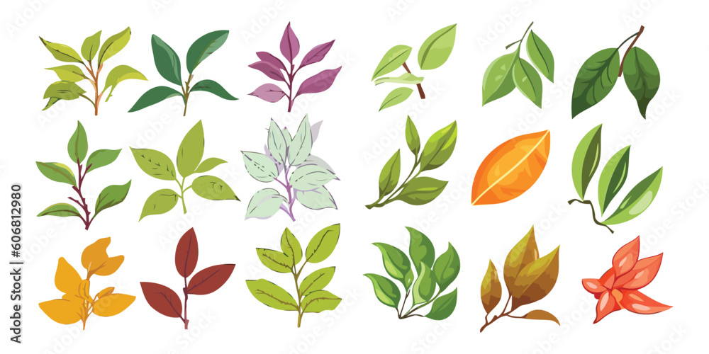 Set of tropical leaves on white background with different colors