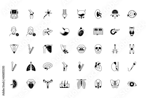 Set of Human Body Anatomy Icons vector design Illustration
