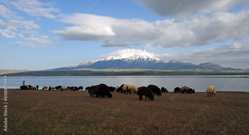 Suphan Mountain and Sodali Lake in Adilcevaz, Turkey. Suphan Mountain and Sodali Lake in Adilcevaz, Turkey.