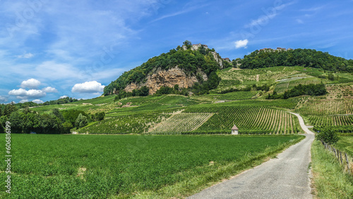 Route traversant le vignoble de Château Chalon dans le Jura photo