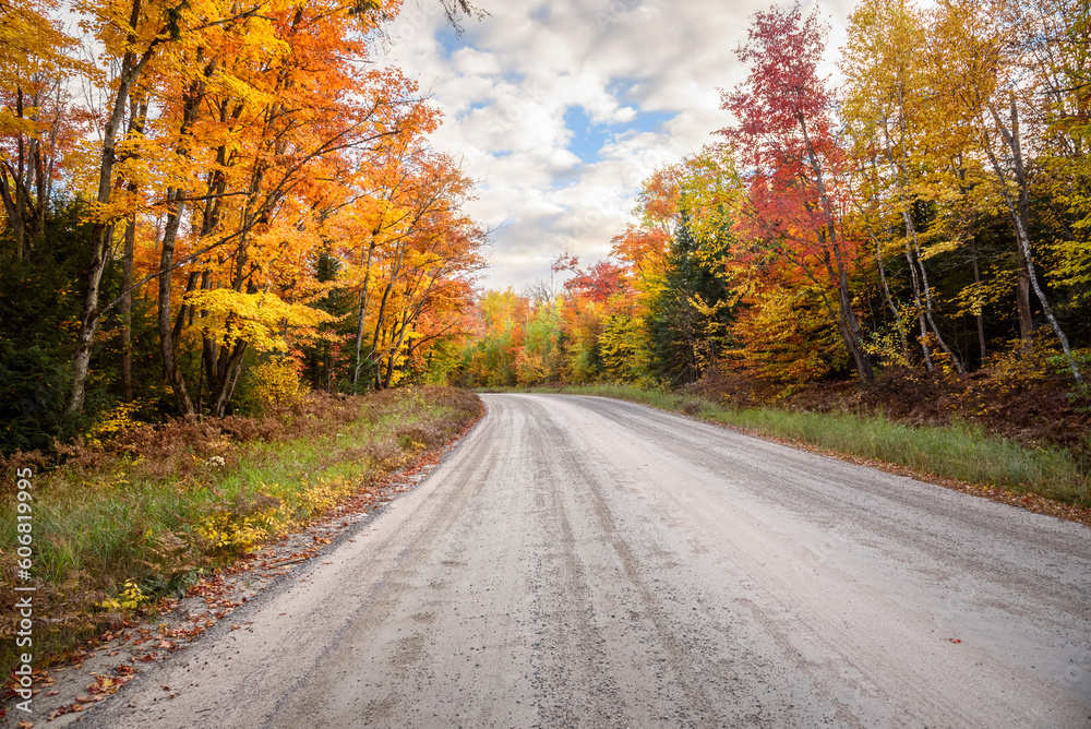Stunning autumn colours along a gravel forest road on a partly cloudy dy. Stunning autumn colours along a gravel forest road on a partly cloudy dy.