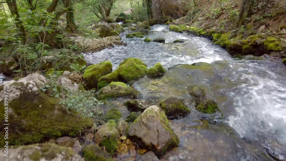 Water stream in Homolje mountins, in east Serbia, spring time. Water stream in Homolje mountins, in east Serbia, spring time.