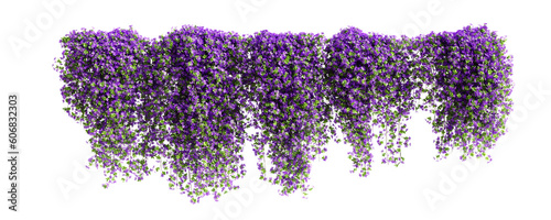 Group of Phlox Paniculata creeper plants, isolated on transparent background. 3D render.