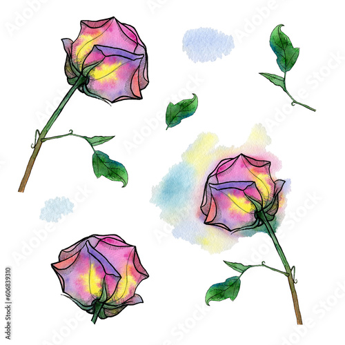 Abstract watercolor illustration. Set of bright roses, buds, casting with a black outline on a white background. Spring print for design of fabrics, textiles, scrapbooking, packaging.