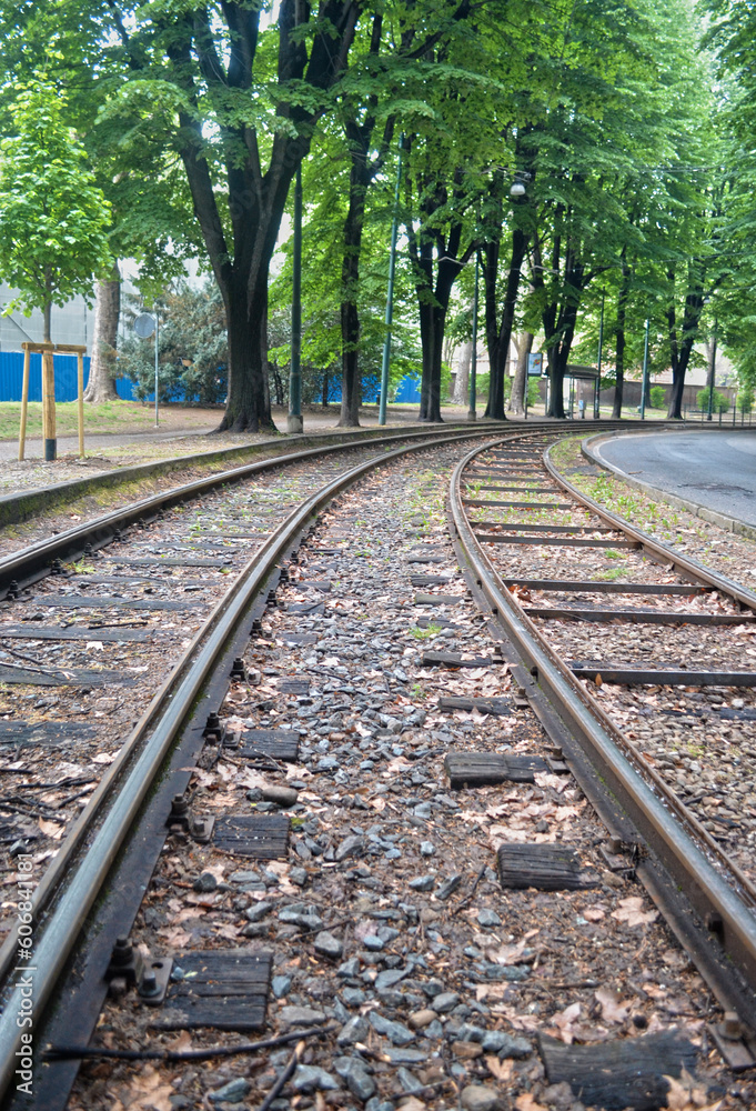 train tracks curving surrounded by trees