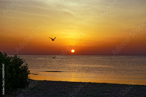 sunset on the beach © Globus 60