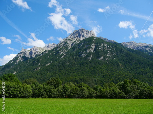 snow at mountain top in the summer nearby green vegetation