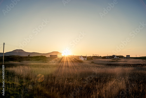 Scotland Grassy Field Sunrise