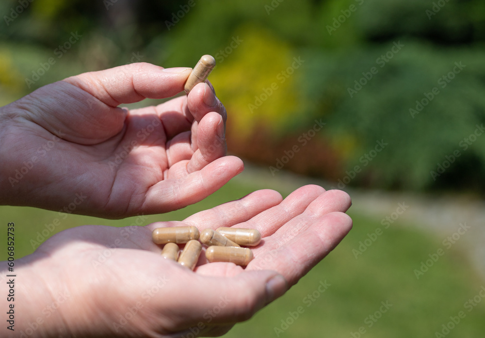Ashwagandha pills held in hand against the background of nature. Use of dietary supplements.