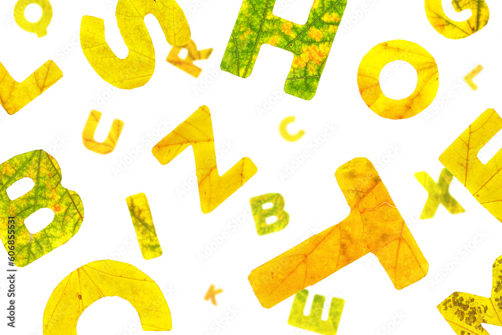 Chaotic flying letters from the autumn leaves, isolated on white background, closeup Chaotic flying letters from the autumn leaves, isolated on white background, closeup