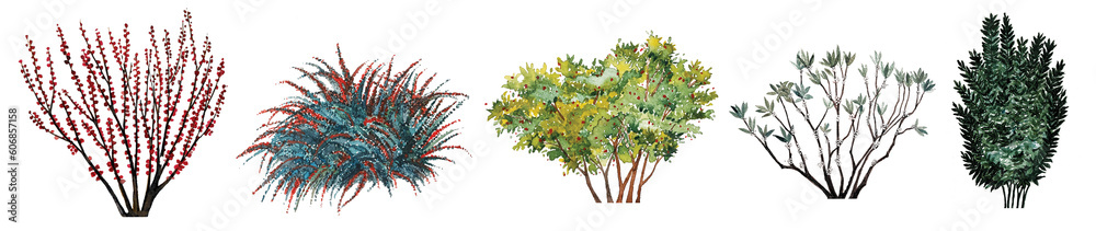 Fototapeta premium Juicy Delights: Exquisite Fruiting Berries Shrubs Collection, 5 Varieties, Scientific Names, Perfect for Culinary Delights & Creative Projects, High-Quality Images.