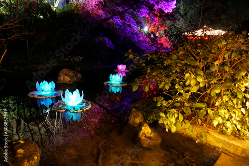 Incanto di luci 2023, Orto botanico di Roma