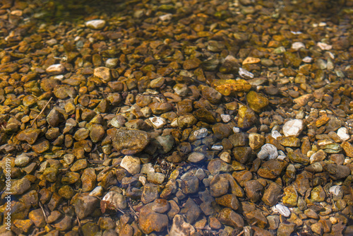 A view of the stones at the bottom of a clear river.