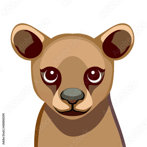 Fossa animal illustration Cryptoprocta ferox vector image