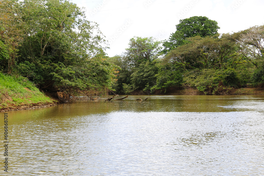 river in the forest, rio frio, Costa Rica river in the forest, rio frio, Costa Rica